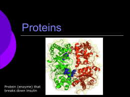 Proteins - Northwest ISD Moodle