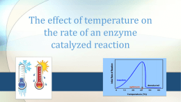 5-tempreture_and_enzymex