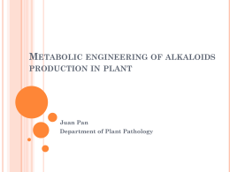 Metabolic engineering of alkaloids production in plant