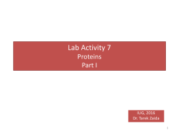 Lab Activity 7 Proteins Part I