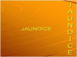 Jaundice 3512011-09-11 10:563.4 MB