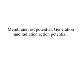 07-Membrane rest potential. Generation and radiation action
