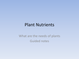 Plant Nutrients