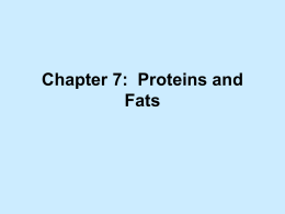 Chapter 7: Proteins and Fats