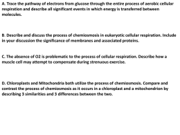 Describe and discuss the process of chemiosmosis in eukaryotic
