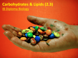 2_3 Slides - Lipids _ Carbs