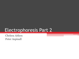 ElectrophoresisII