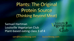 Plants: The Original Protein Source (Thinking Beyond Meat)