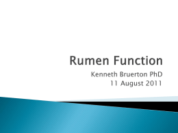Rumen Function - Causeway Produce Agency
