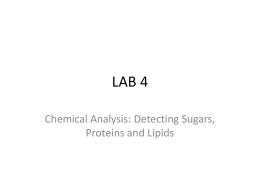 Lab 4 - Chemical Analysis of Organic
