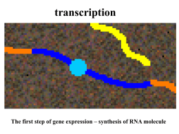 mRNA Protein