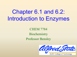 Enzymes: Principles of Catalysis