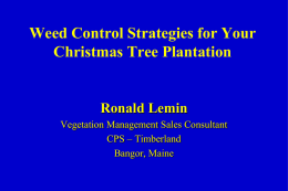 and Read Full Article - Maine Christmas Tree Association