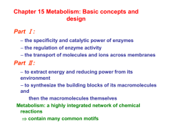 Chapter 15 Metabolism: Basic concepts and design Part Ⅰ