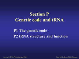 P1 The genetic code