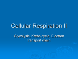 Cellular Resp
