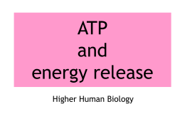 Chapter 4 – ATP and Energy transfer