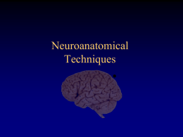 neuron - UC San Diego