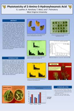 Poster on Crotalaria juncea presented at the 2010 meeting of the