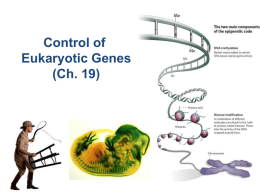 7.5 Eukaryotic Genome Regulation