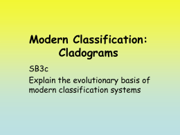 Cladograms[2]