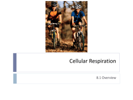 9.1 Cellular Respiration