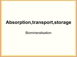Absorption, transport, storage of metal ions. Biomineralisation A