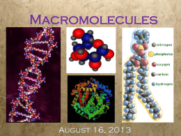 Macromolecules - Uplift Education