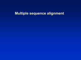 Multiple Sequence Alignments