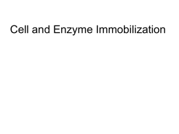 14.Cell and Enzyme Immobilization.web