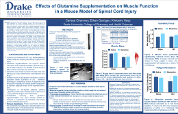 Effects of Glutamine Supplementation on Muscle