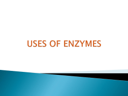 USES OF ENZYMES