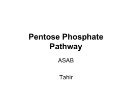 Pentose Phosphate Pathway - Lectures For UG-5
