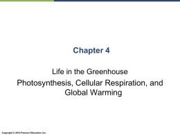 Chapter 4: Photosynthesis, Cellular Respiration and Global Warming
