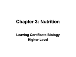 Function - Leaving Cert Biology