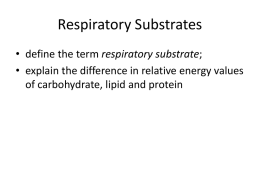 A2 4.1.1 Respiratory Substrates