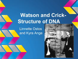 Watson and Crick- Structure of DNA