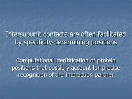 Intersubunit contacts are often facilitated by specificity