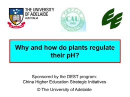 Why and how do plants regulate their pH?