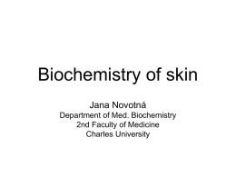 Biochemistry of skin - Univerzita Karlova. Prague