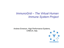 ImmunoGrid – The virtual human immune system project
