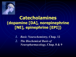 Catecholamines (dopamine, norepinephrine, epinephrine)