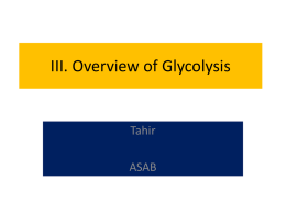 III. Overview of Glycolysis