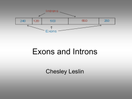 Exons and Introns - Northeastern University
