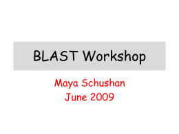 BLAST Workshop - Tel Aviv University