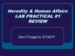 Heredity & Human Affairs LAB PRACTICAL #1 REVIEW