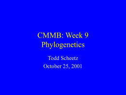 CMMB: Week 7 Phylogenetics