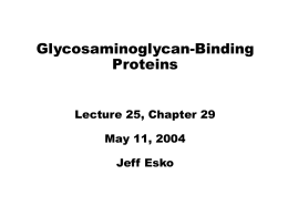 GAG binding proteins - Glycobiology Research and Training
