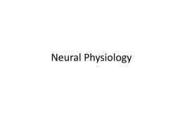 Neural Physiology - Delta State University