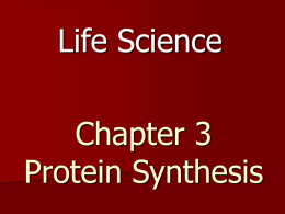 Chapter 3 Protein Synthesis